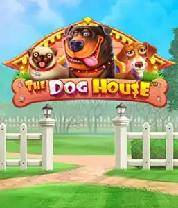 From Pragmatic Play comes The Dog House Slot, featuring a fun-filled experience through playful pups. Discover gameplay elements such as multipliers, designed for delivering joyful moments. Perfect for animal enthusiasts an amusing theme with a chance for big wins.