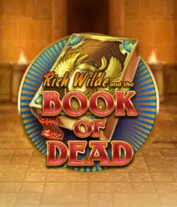 Enter the thrilling world of Book of Dead by Play'n GO, showcasing vivid graphics of Rich Wilde's journey through ancient Egyptian tombs and artifacts. Discover lost riches with engaging mechanics like free spins, expanding symbols, and a gamble option. Ideal for adventure seekers with a desire for exciting finds.